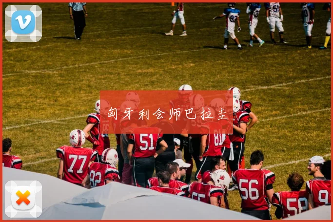 匈牙利会师巴拉圭