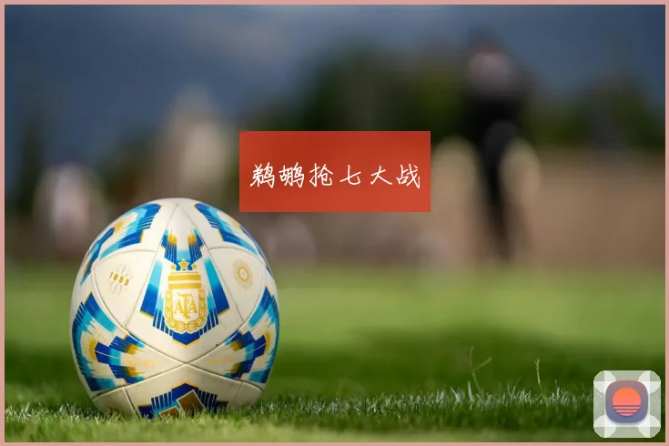 鹈鹕抢七大战