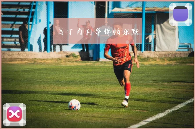 马丁内利争锋帕尔默