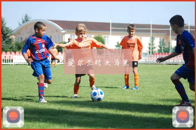 爱尔兰对决马里