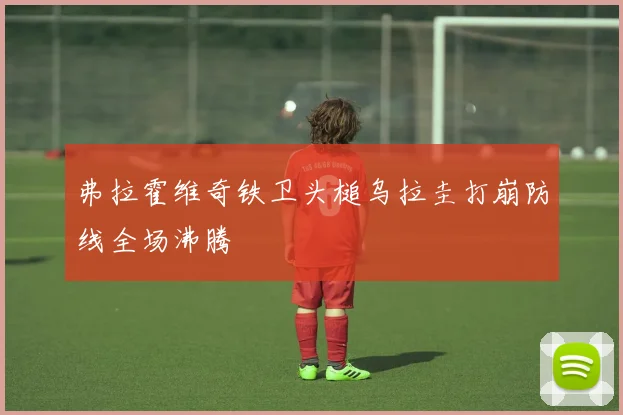 弗拉霍维奇铁卫头槌乌拉圭打崩防线全场沸腾