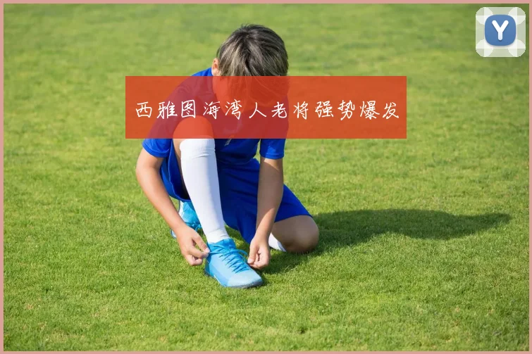 西雅图海湾人老将强势爆发