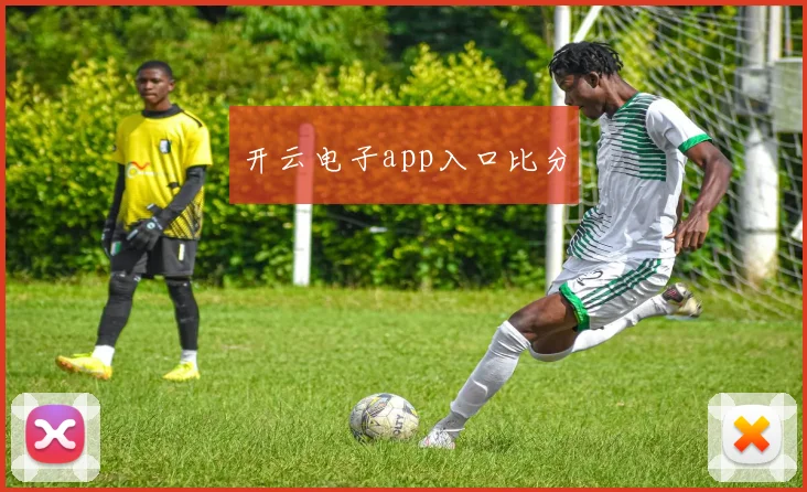 开云电子app入口比分
