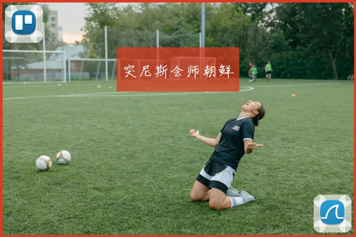突尼斯会师朝鲜