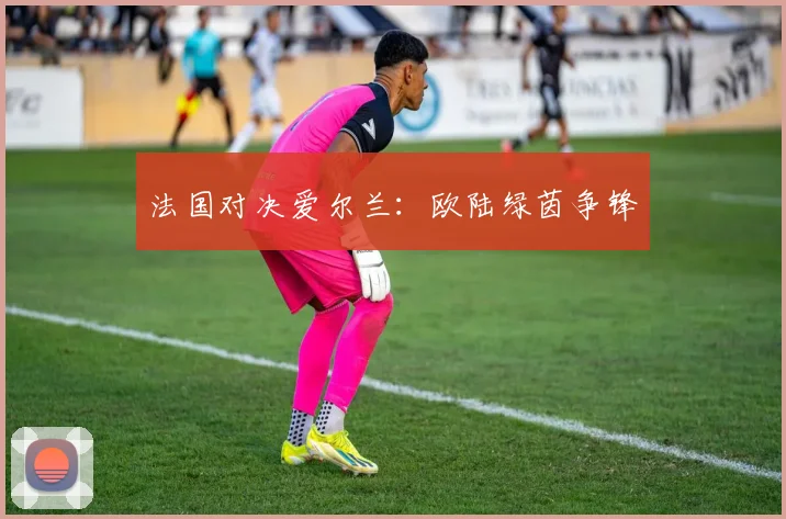 法国对决爱尔兰：欧陆绿茵争锋