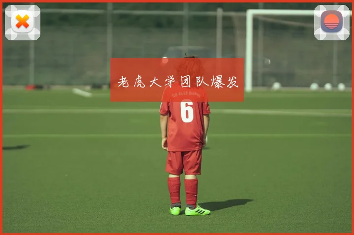 老虎大学团队爆发