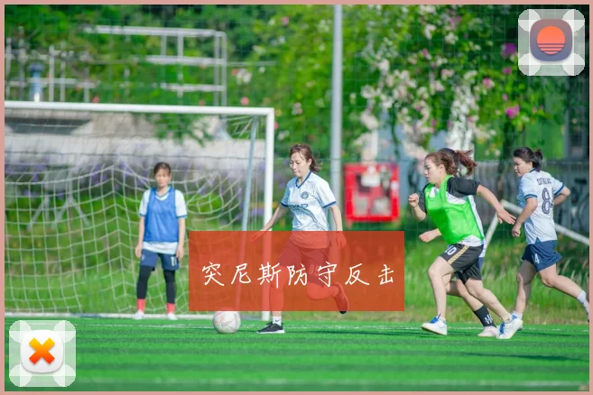 突尼斯防守反击