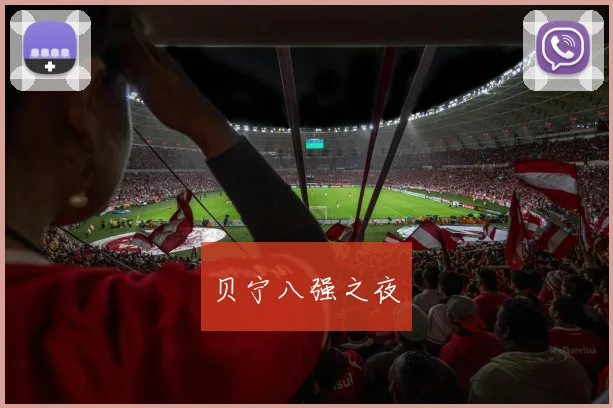 贝宁八强之夜