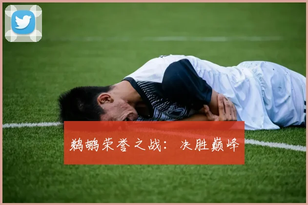 鹈鹕荣誉之战：决胜巅峰