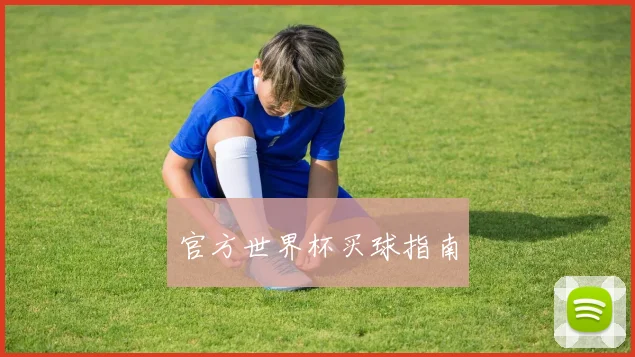 官方世界杯买球指南