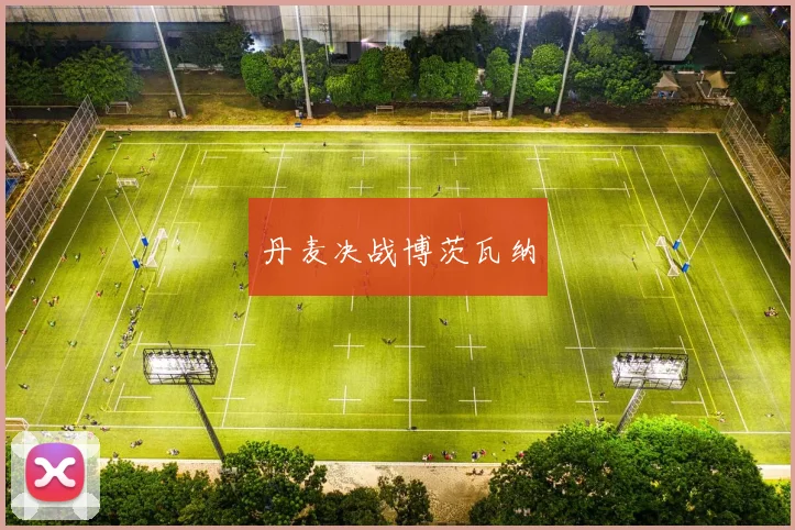 丹麦决战博茨瓦纳