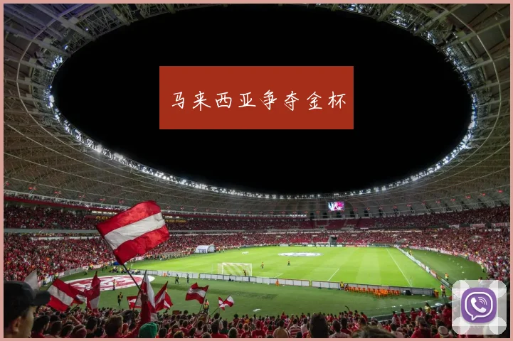 马来西亚争夺金杯