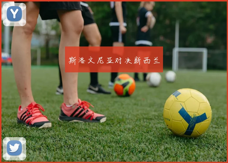 斯洛文尼亚对决新西兰