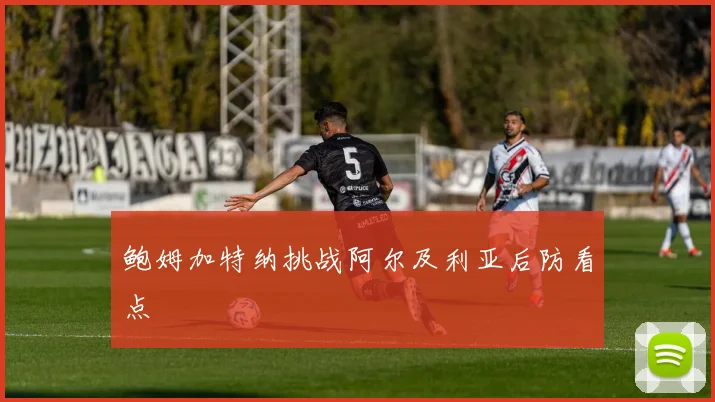 鲍姆加特纳挑战阿尔及利亚后防看点