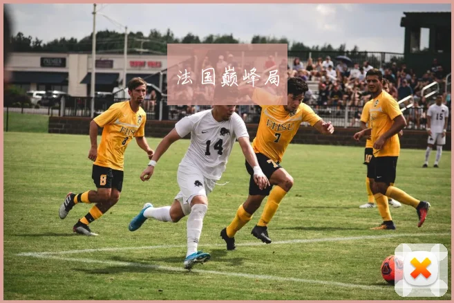 法国巅峰局