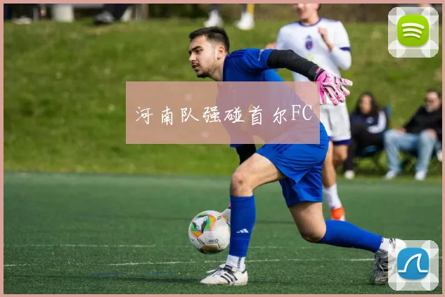 河南队强碰首尔FC
