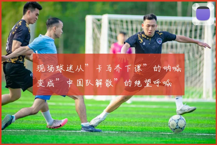 现场球迷从”卡马乔下课”的呐喊变成”中国队解散”的绝望呼喊