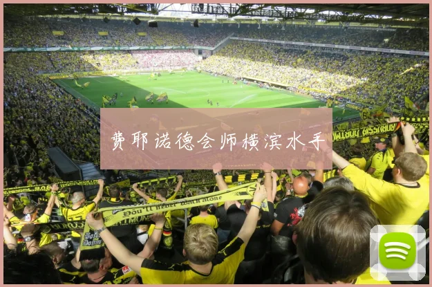 费耶诺德会师横滨水手
