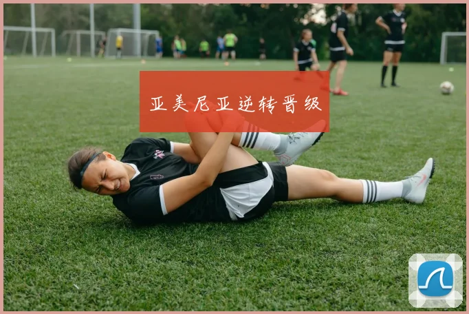 亚美尼亚逆转晋级