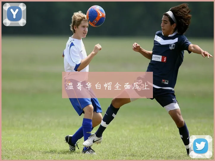 温哥华白帽全面压上
