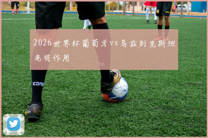 2026世界杯葡萄牙vs乌兹别克斯坦老将作用