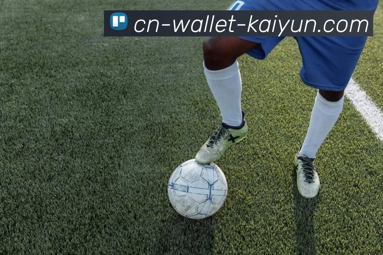 关于开云Kaiyun电竞官网入口