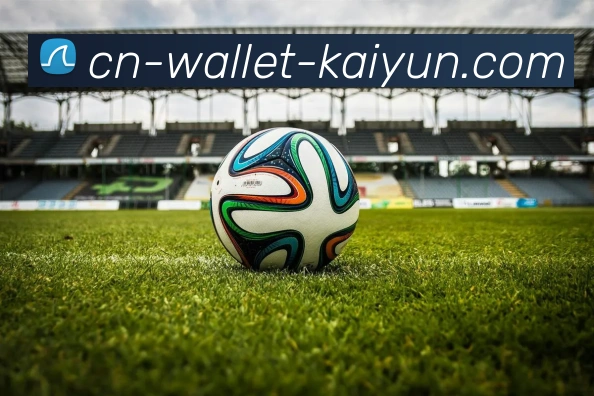 开云Kaiyun电竞官网入口App下载