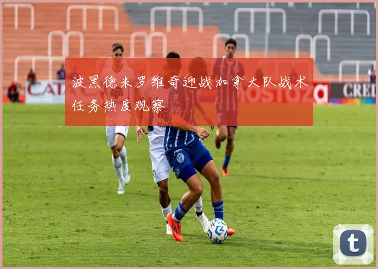 波黑德米罗维奇迎战加拿大队战术任务热度观察