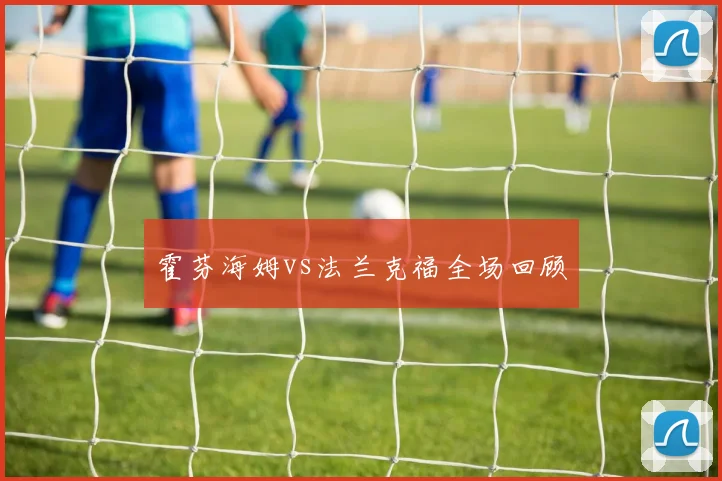 霍芬海姆vs法兰克福全场回顾