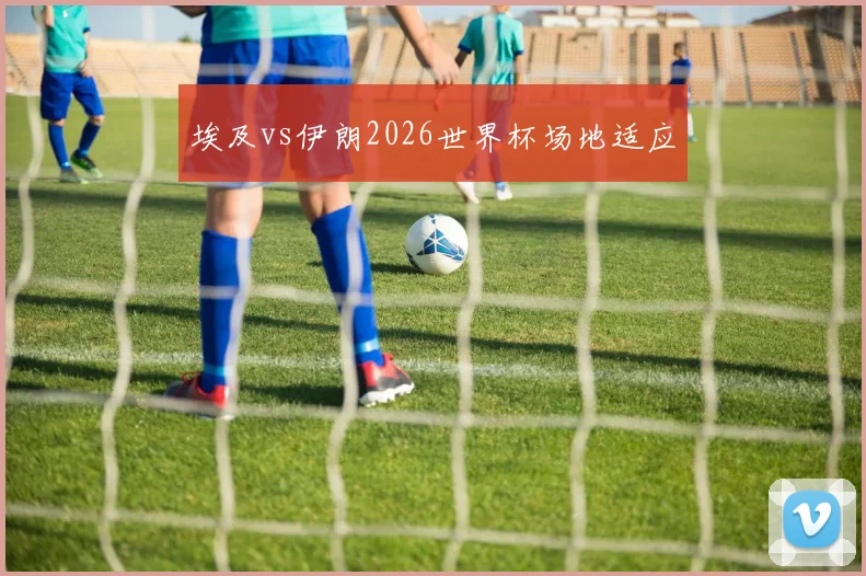 埃及vs伊朗2026世界杯场地适应