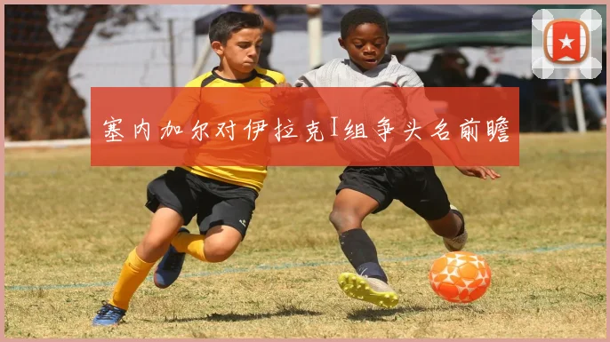 塞内加尔对伊拉克I组争头名前瞻