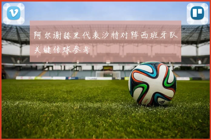 阿尔谢赫里代表沙特对阵西班牙队关键传球参考