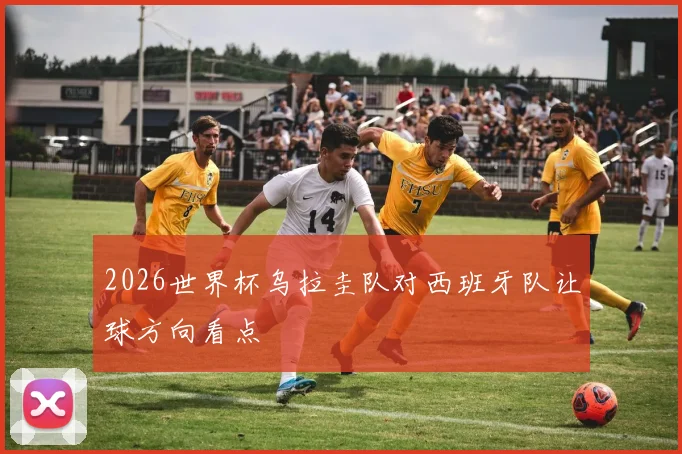 2026世界杯乌拉圭队对西班牙队让球方向看点