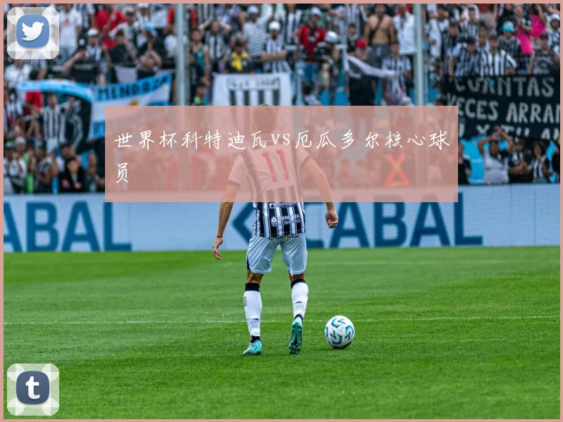 世界杯科特迪瓦vs厄瓜多尔核心球员
